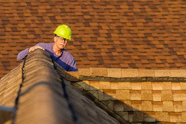 Best Roof Gutter Cleaning  in Ames Lake, WA