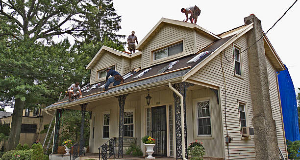 Best Roof Replacement Cost  in Ames Lake, WA